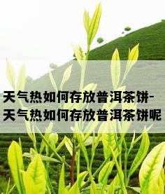 天气热如何存放普洱茶饼-天气热如何存放普洱茶饼呢