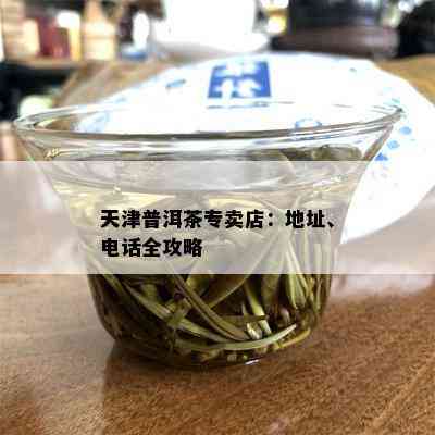 天津普洱茶专卖店：地址、电话全攻略