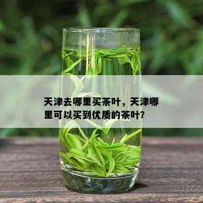 天津去哪里买茶叶，天津哪里可以买到优质的茶叶？