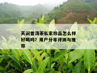 天润普洱茶私家珍品怎么样好喝吗？用户分享评测与推荐