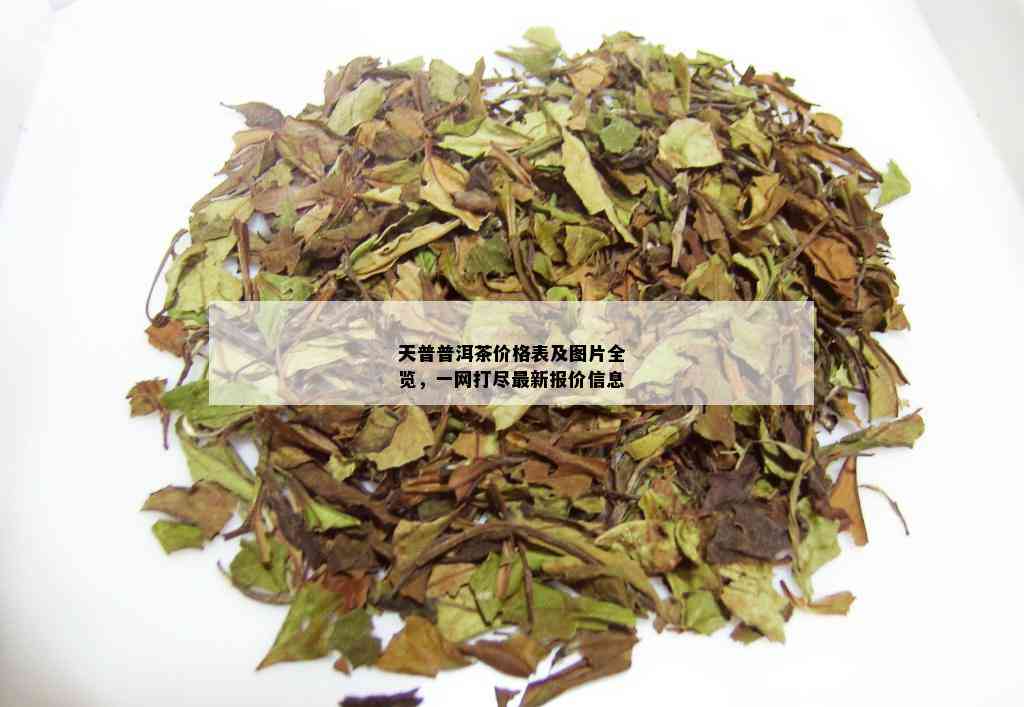 天普普洱茶价格表及图片全览，一网打尽最新报价信息