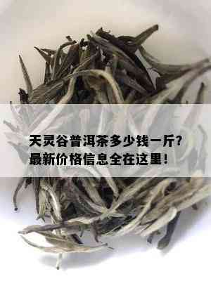 天灵谷普洱茶多少钱一斤？最新价格信息全在这里！