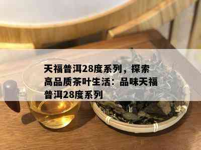 天福普洱28度系列，探索高品质茶叶生活：品味天福普洱28度系列