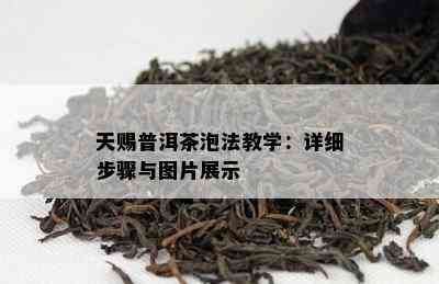 天赐普洱茶泡法教学：详细步骤与图片展示