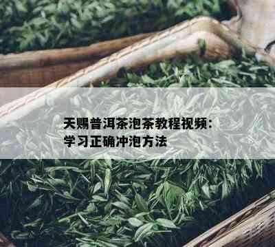 天赐普洱茶泡茶教程视频：学习正确冲泡方法