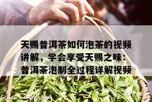 天赐普洱茶如何泡茶的视频讲解，学会享受天赐之味：普洱茶泡制全过程详解视频