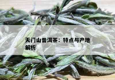 天门山普洱茶：特点与产地解析