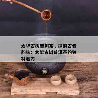 太华古树普洱茶，探索古老韵味：太华古树普洱茶的独特魅力