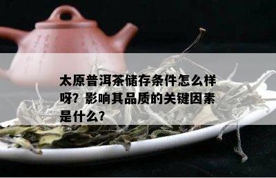 太原普洱茶储存条件怎么样呀？影响其品质的关键因素是什么？