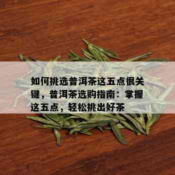 如何挑选普洱茶这五点很关键，普洱茶选购指南：掌握这五点，轻松挑出好茶