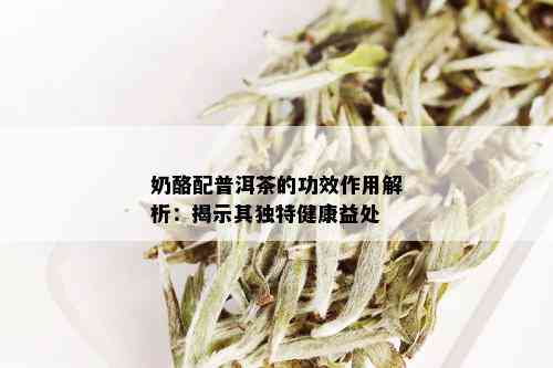 奶酪配普洱茶的功效作用解析：揭示其独特健康益处