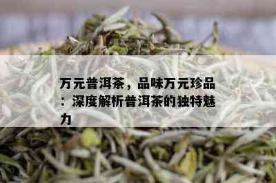 万元普洱茶，品味万元珍品：深度解析普洱茶的独特魅力