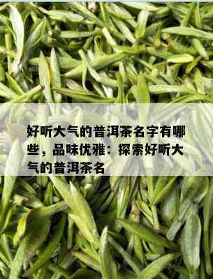 好听大气的普洱茶名字有哪些，品味优雅：探索好听大气的普洱茶名