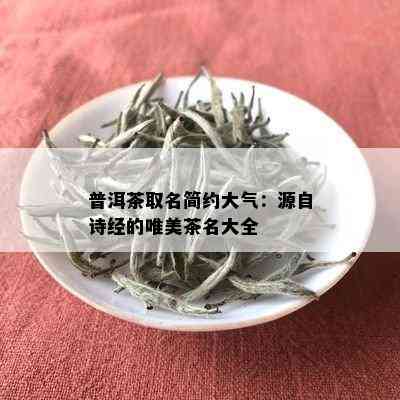 普洱茶取名简约大气：源自诗经的唯美茶名大全