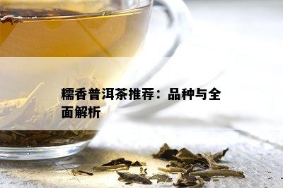 糯香普洱茶推荐：品种与全面解析