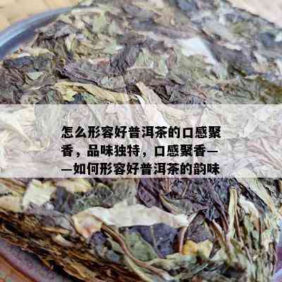 怎么形容好普洱茶的口感聚香，品味独特，口感聚香——如何形容好普洱茶的韵味