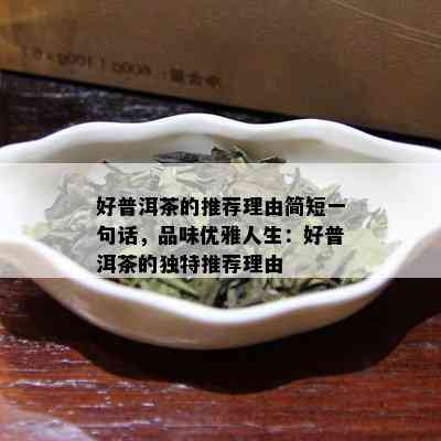 好普洱茶的推荐理由简短一句话，品味优雅人生：好普洱茶的独特推荐理由