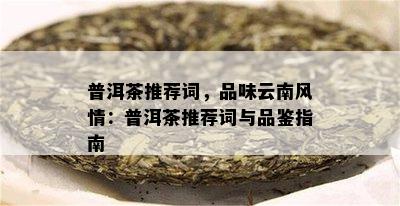 普洱茶推荐词，品味云南风情：普洱茶推荐词与品鉴指南