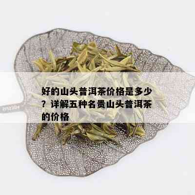 好的山头普洱茶价格是多少？详解五种名贵山头普洱茶的价格