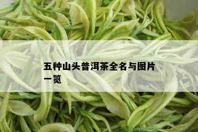 五种山头普洱茶全名与图片一览