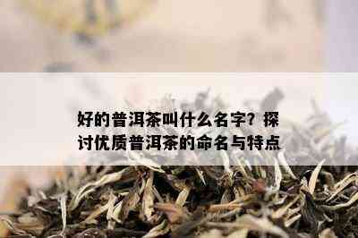 好的普洱茶叫什么名字？探讨优质普洱茶的命名与特点