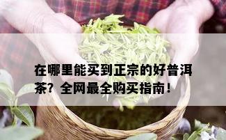 在哪里能买到正宗的好普洱茶？全网最全购买指南！