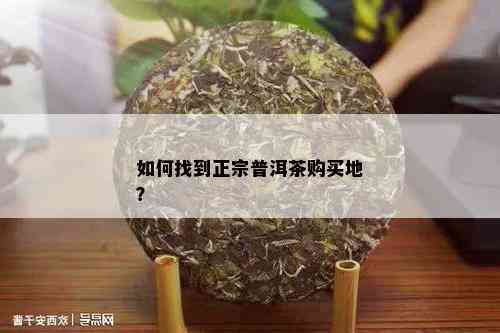 如何找到正宗普洱茶购买地？