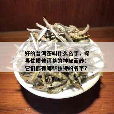 好的普洱茶叫什么名字，探寻优质普洱茶的神秘面纱：它们都有哪些独特的名字？