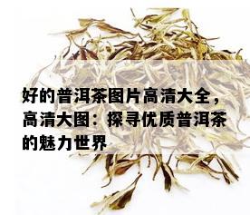 好的普洱茶图片高清大全，高清大图：探寻优质普洱茶的魅力世界