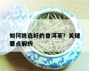 如何挑选好的普洱茶？关键要点解析