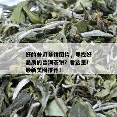 好的普洱茶饼图片，寻找好品质的普洱茶饼？看这里！最新美图推荐！