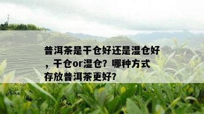 普洱茶是干仓好还是湿仓好，干仓or湿仓？哪种方式存放普洱茶更好？