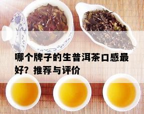 哪个牌子的生普洱茶口感更好？推荐与评价