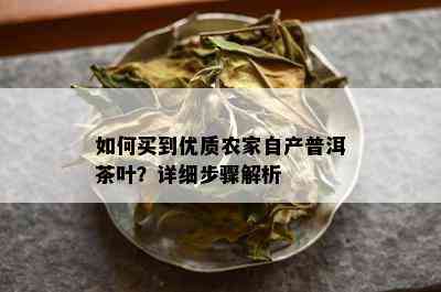 如何买到优质农家自产普洱茶叶？详细步骤解析