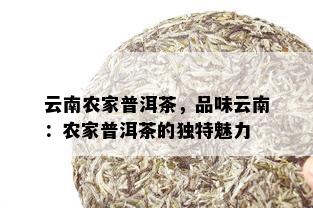 云南农家普洱茶，品味云南：农家普洱茶的独特魅力