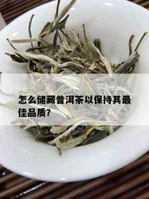 怎么储藏普洱茶以保持其更佳品质？