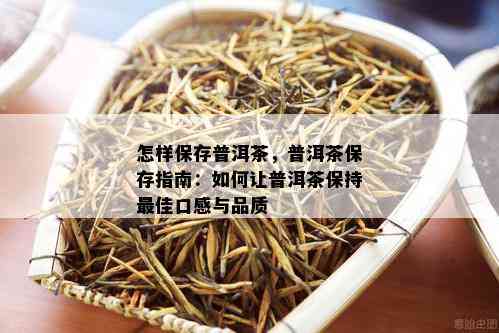 怎样保存普洱茶，普洱茶保存指南：如何让普洱茶保持更佳口感与品质