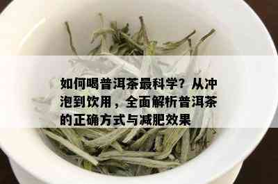 如何喝普洱茶最科学？从冲泡到饮用，全面解析普洱茶的正确方式与减肥效果