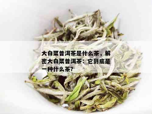 大白菜普洱茶是什么茶，解密大白菜普洱茶：它到底是一种什么茶？