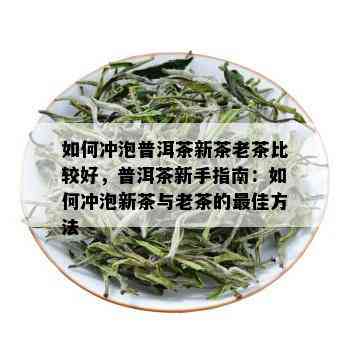 如何冲泡普洱茶新茶老茶比较好，普洱茶新手指南：如何冲泡新茶与老茶的更佳方法