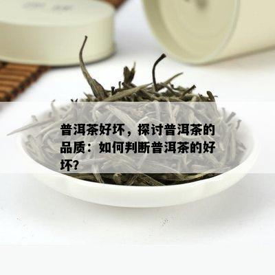 普洱茶好坏，探讨普洱茶的品质：如何判断普洱茶的好坏？