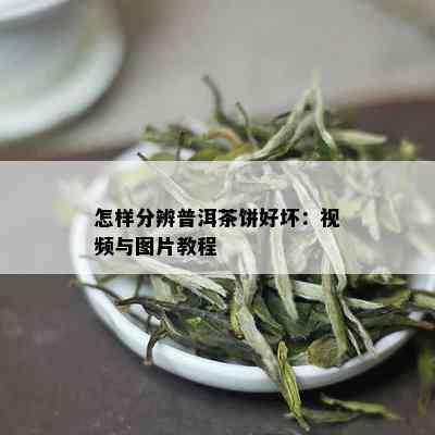 怎样分辨普洱茶饼好坏：视频与图片教程