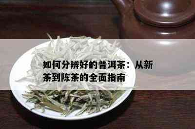 如何分辨好的普洱茶：从新茶到陈茶的全面指南