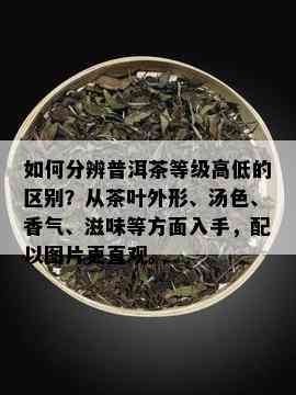 如何分辨普洱茶等级高低的区别？从茶叶外形、汤色、香气、滋味等方面入手，配以图片更直观。