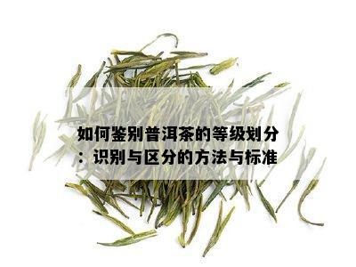 如何鉴别普洱茶的等级划分：识别与区分的方法与标准