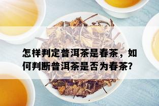 怎样判定普洱茶是春茶，如何判断普洱茶是否为春茶？