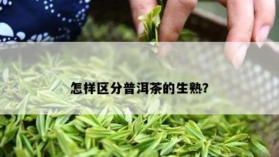 怎样区分普洱茶的生熟？