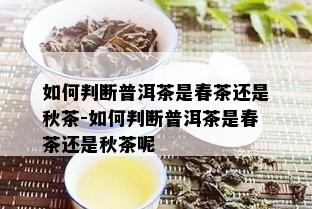 如何判断普洱茶是春茶还是秋茶-如何判断普洱茶是春茶还是秋茶呢