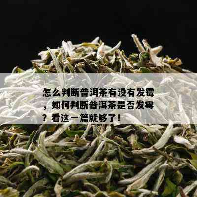 怎么判断普洱茶有没有发霉，如何判断普洱茶是否发霉？看这一篇就够了！