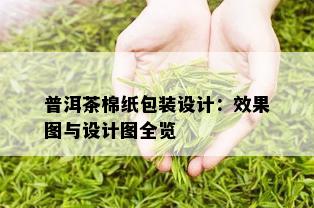 普洱茶棉纸包装设计：效果图与设计图全览